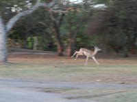 Marion, Romane South Africa 2014 (68 of 80) : Bundu lodge, Marion visit